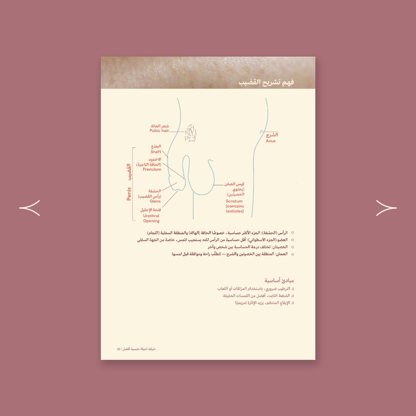 دليلك لحياة جنسية أفضل، تواصل أعمق ومتعة أكبر